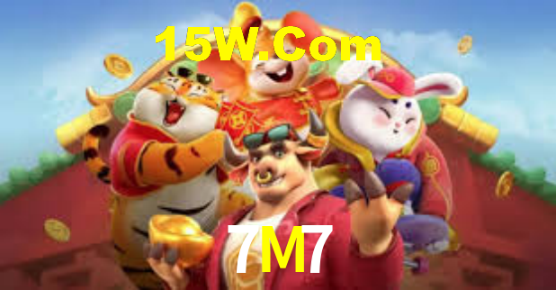 7M7 App Interface
